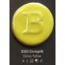 Botz-Pro Citringelb 800ml